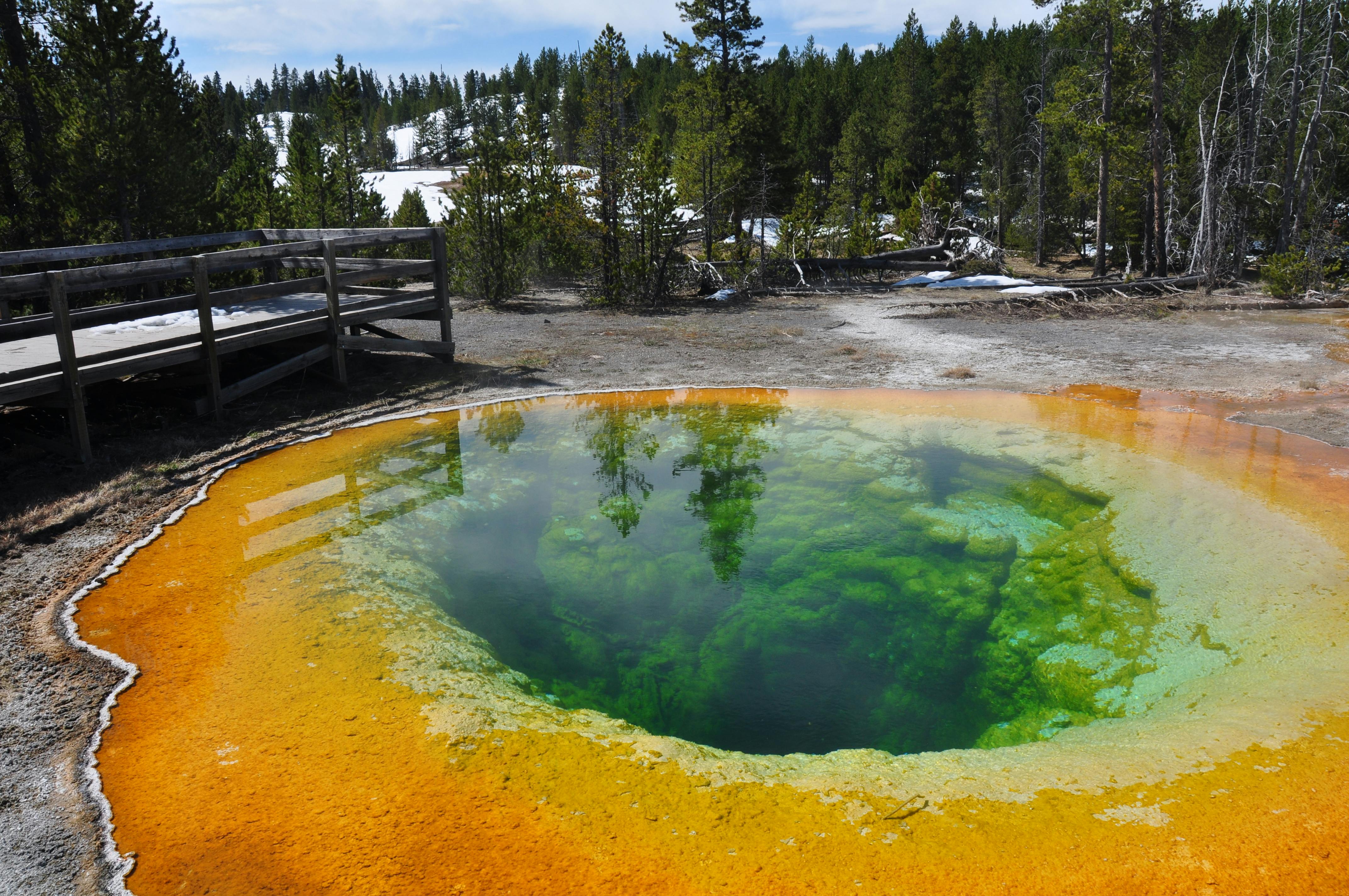 Colorful geothermal hot spring reflecting trees in Yellowstone National Park.