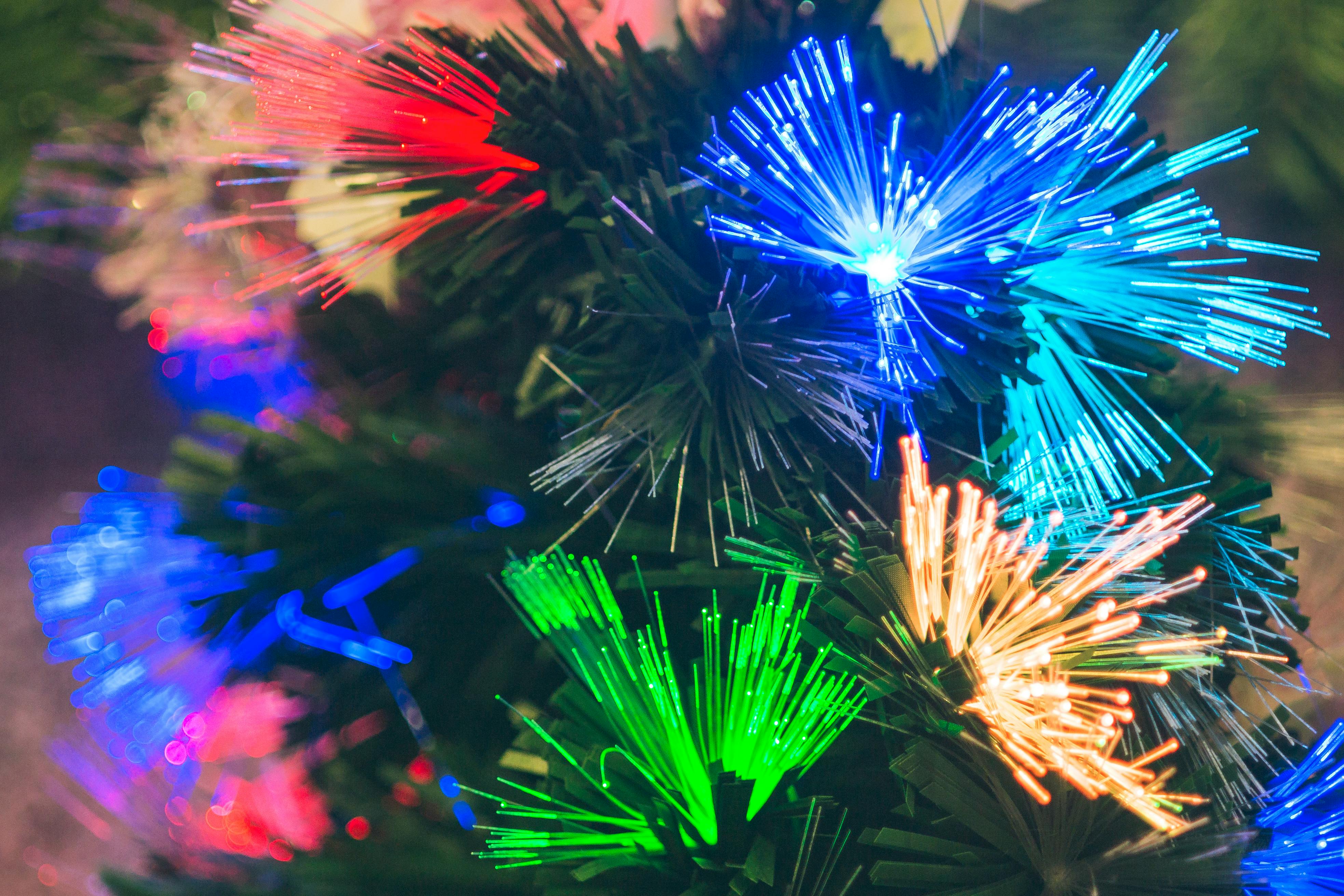 Free stock photo of christmas, christmas tree, light