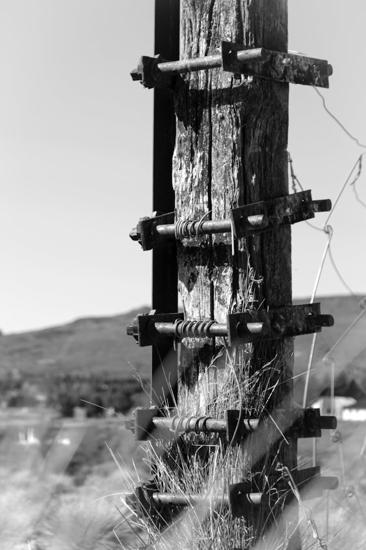 Close Up Of Electricity Installation On Wooden Post