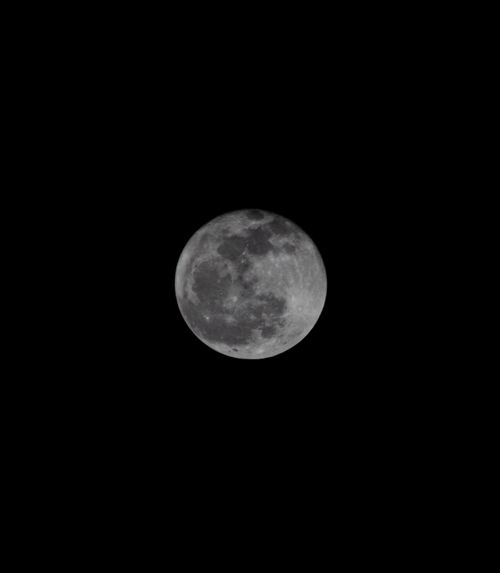 Free Detailed capture of a full moon in black and white against a dark night sky. Stock Photo