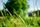 depth of field