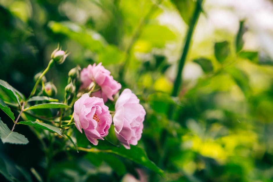 Seductive Fragrances That Ignite Passion