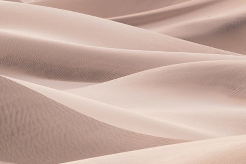 Dunes on Desert