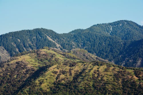 丘陵, 天性, 景觀 的 免費圖庫相片