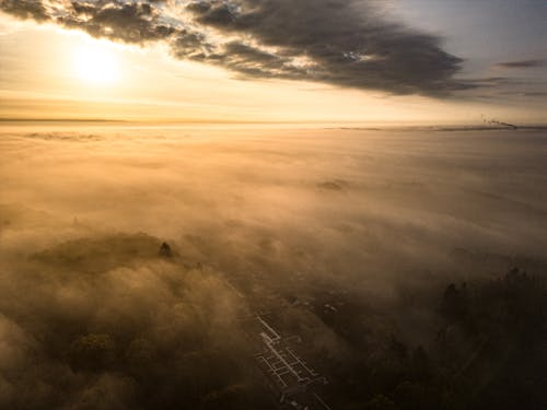 Fog over Trees at Sunset