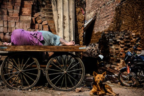 Free Person Lying on Cart Stock Photo