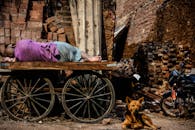 一名男子躺在手推车上，周围是砖块和狗，身处充满活力的城市环境中