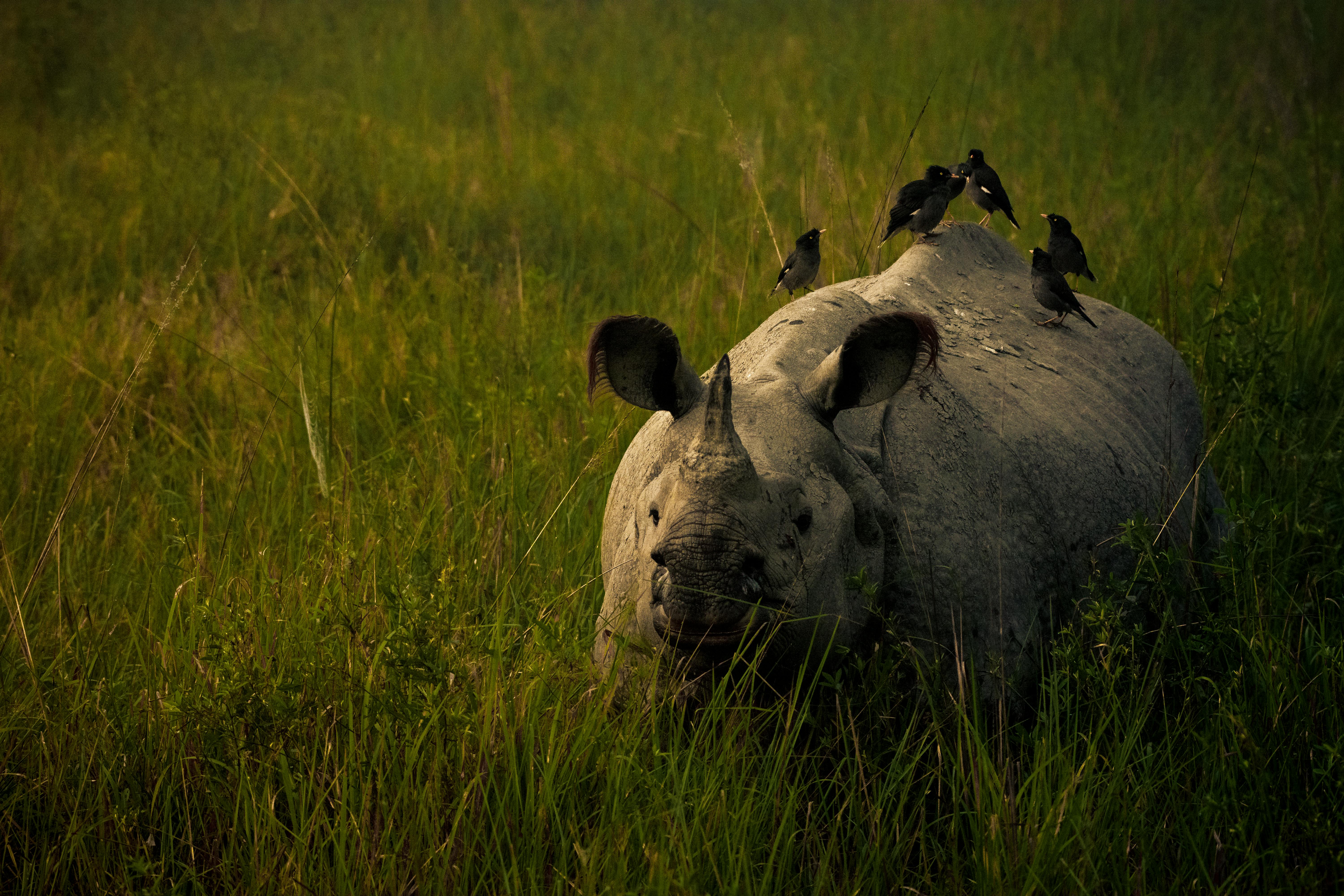 Difference Between K10 And C10 Difference