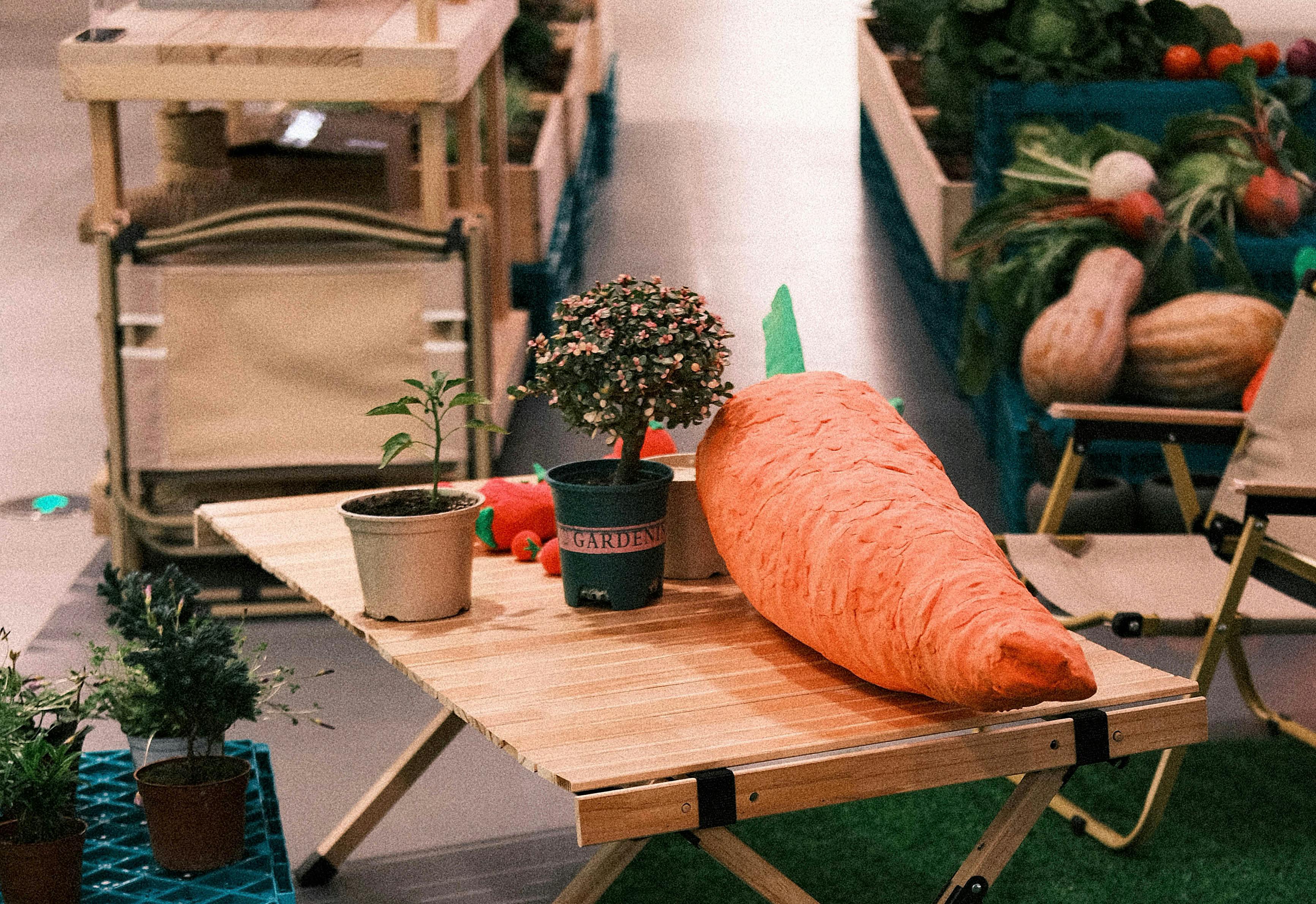 AgroCenter Lleida: todo para huerto, jardín y granja en una sola tienda