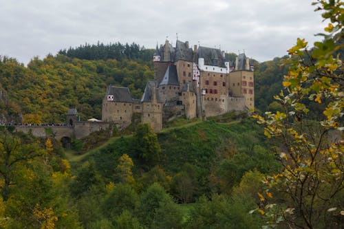 Δωρεάν στοκ φωτογραφιών με eltz κάστρο, Γερμανία, δασικός