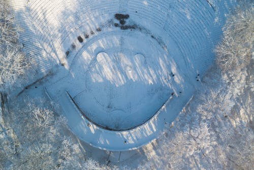 Snow in Theater in Forest