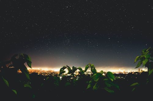 Free A breathtaking view of a starry night sky over a glowing cityscape framed by lush foliage. Stock Photo