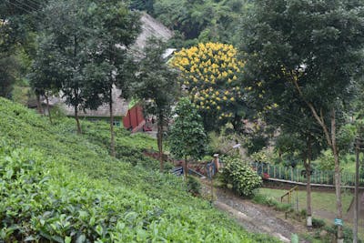 Classic Leather Watch