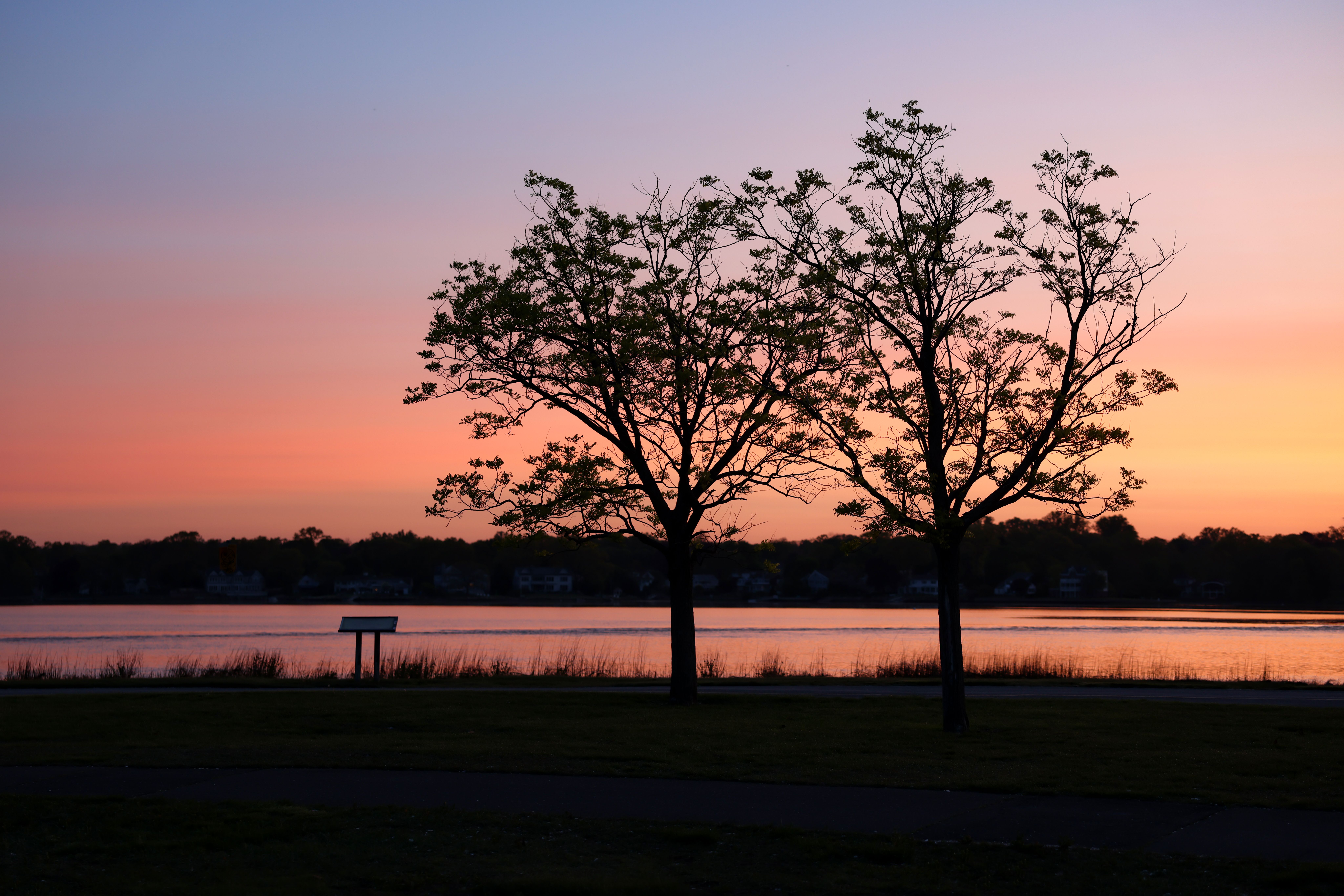 Trees by River at Sunset · Free Stock Photo