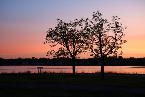 Free Silhouette of trees against a calm lake and a vibrant sunset sky. Stock Photo