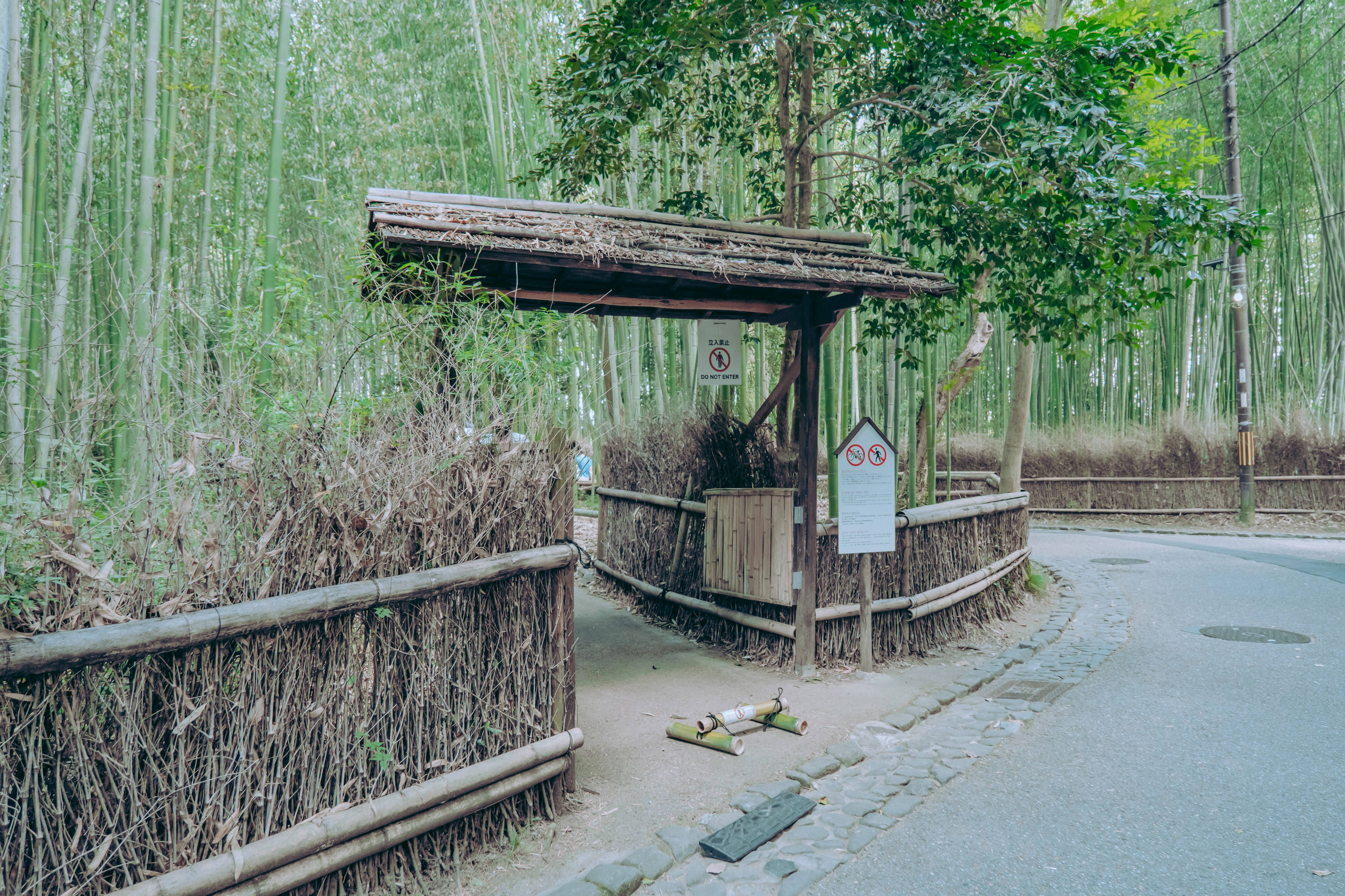 Explore the tranquil bamboo grove entry in Kyoto, Japan, perfect for a nature retreat.