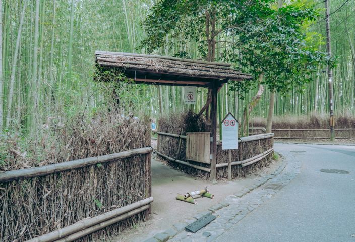 Explore the tranquil bamboo grove entry in Kyoto, Japan, perfect for a nature retreat.