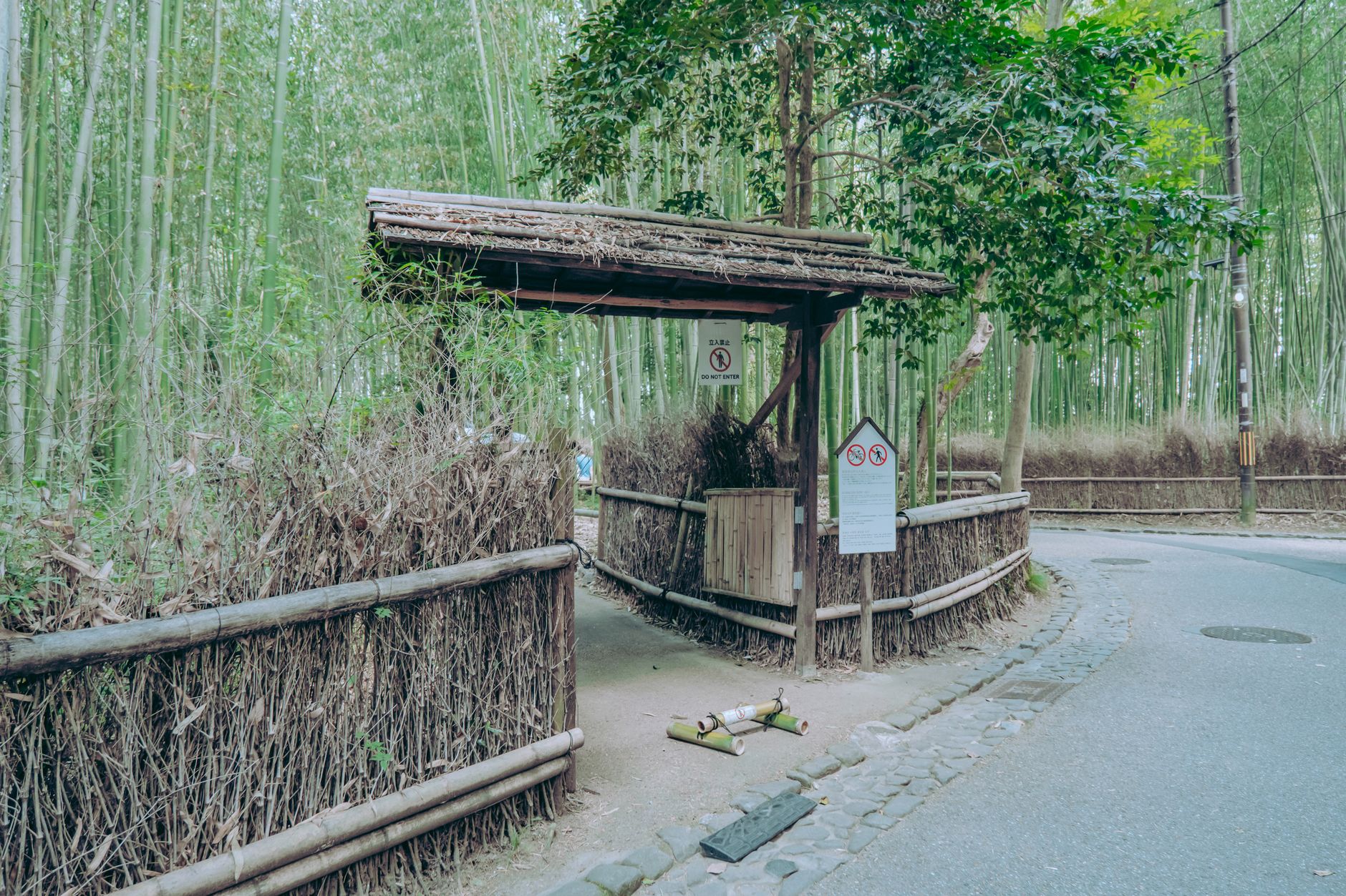 Explore the tranquil bamboo grove entry in Kyoto, Japan, perfect for a nature retreat.