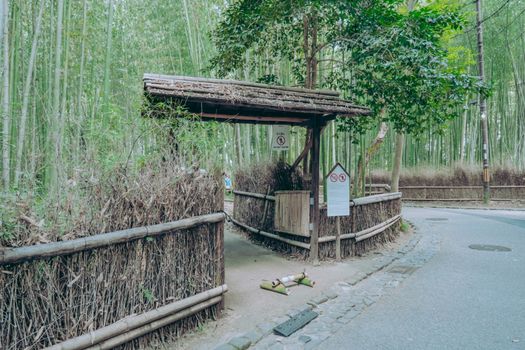 Arashiyama bamboo and Tenryu-ji walk — Kyoto