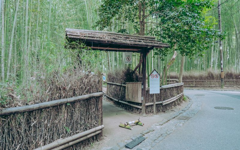 Arashiyama bamboo grove Kyoto Japan morning light