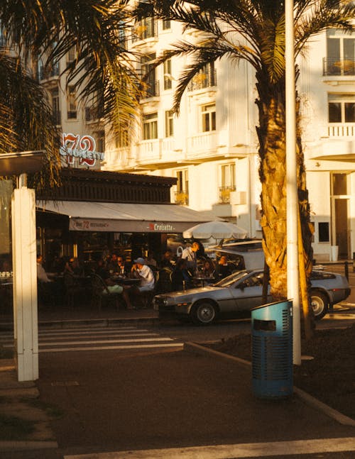 Palm Tree, Street and Restaurant in Town