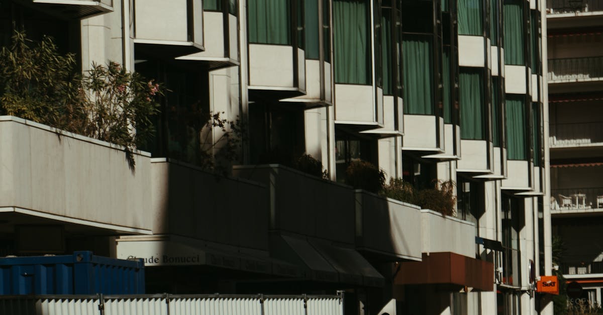 Fotos De Estudio Profesionales De Automóviles