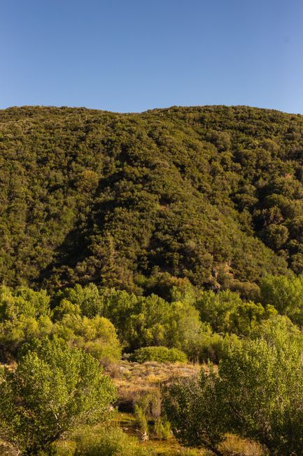 Road trip to Ojai from LA
