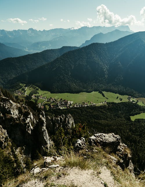 Imagine de stoc gratuită din arbori, codru, dealuri