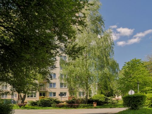 Free Bright urban scene with greenery in Zielona Góra, Poland. Ideal for cityscape content. Stock Photo