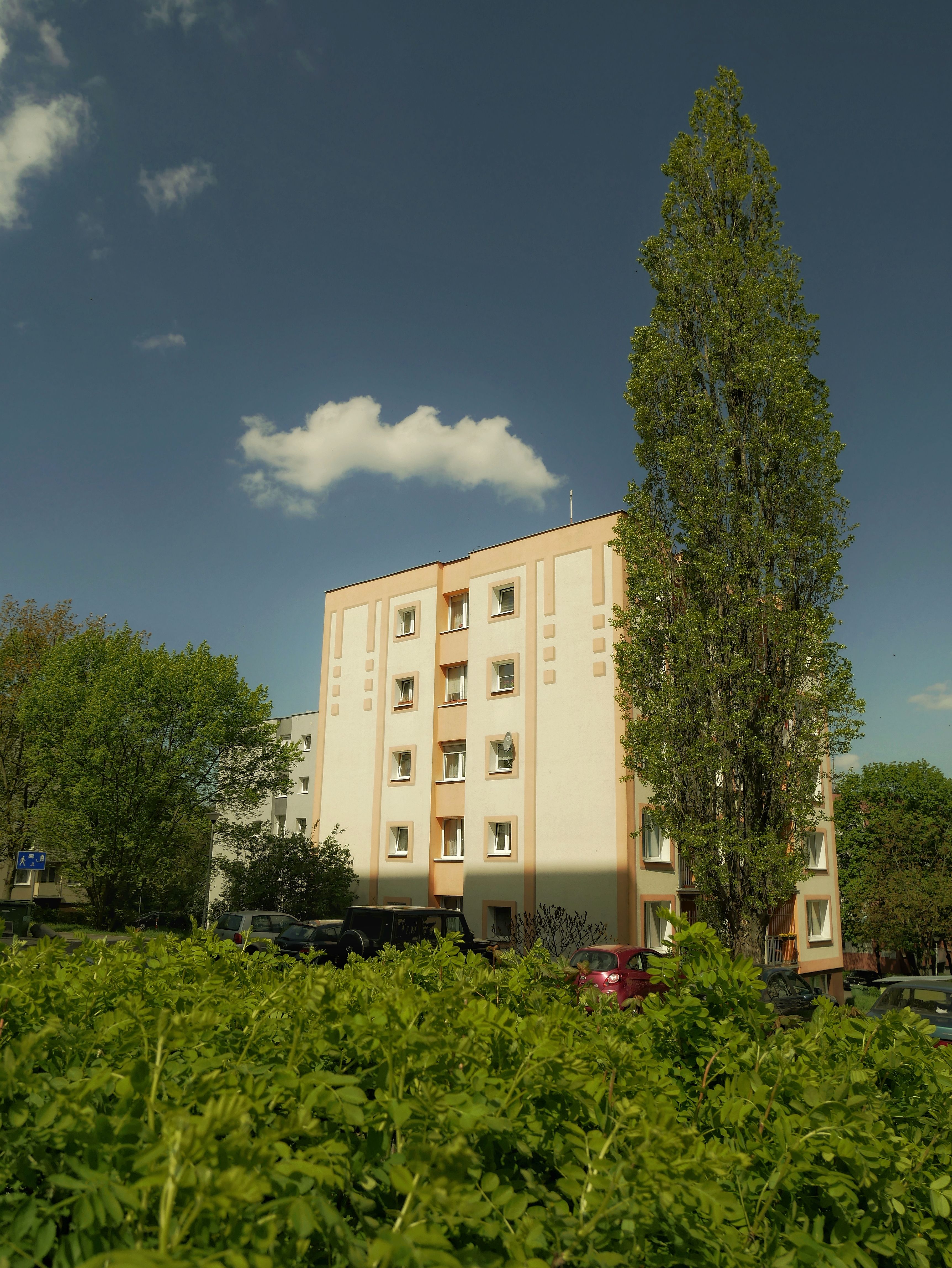 Nordic Region Luxury Apartments With Fitness Center