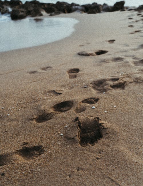 Foto d'estoc gratuïta de molt, petjades, platja