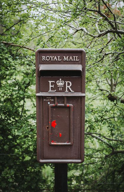 A classic Royal Mail postbox nestled in a lush green forest setting in the UK.
