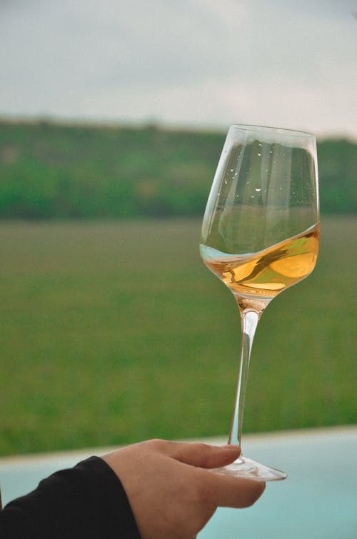 Glass of White Wine 
