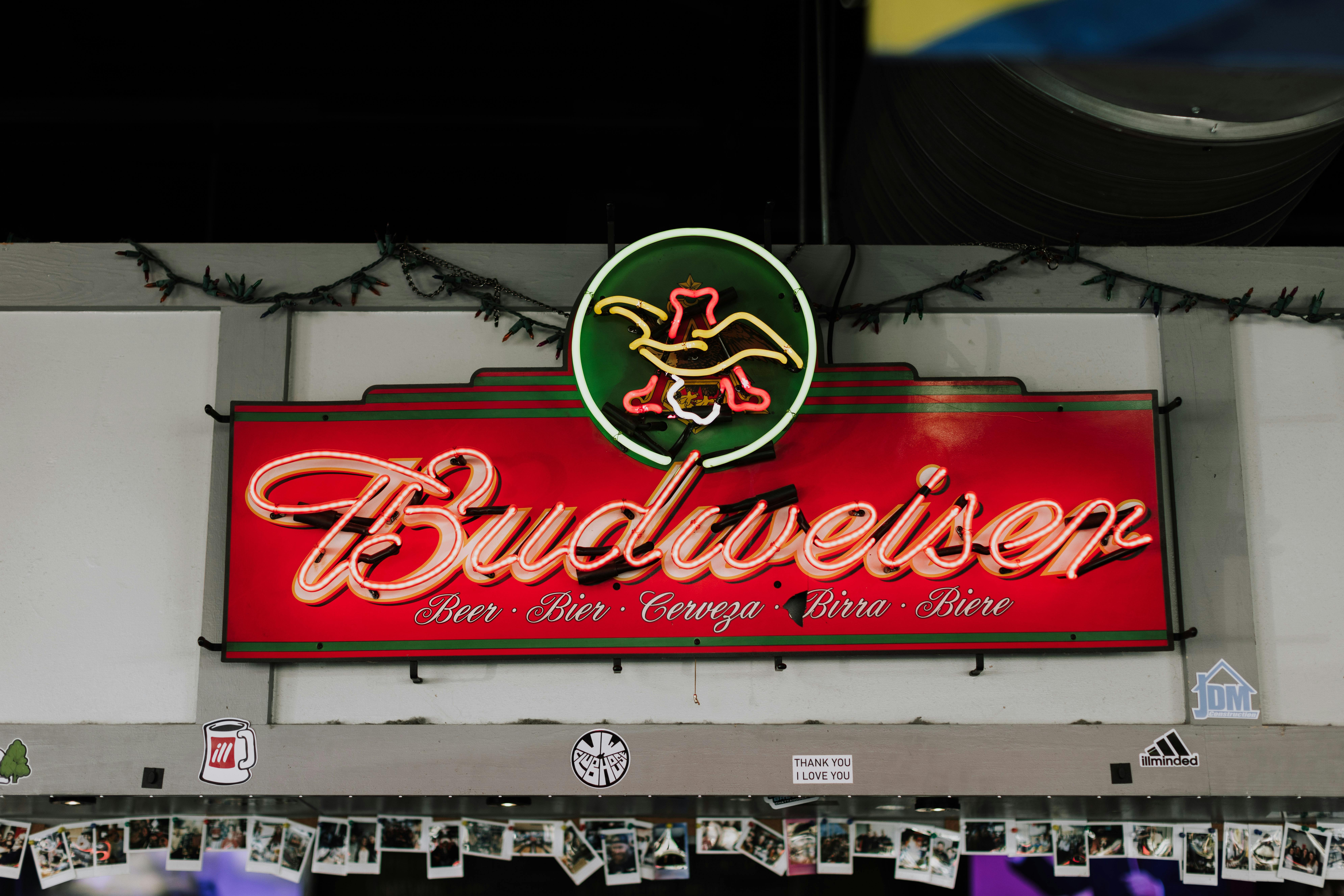 Origen de Budweiser: historia de la cerveza