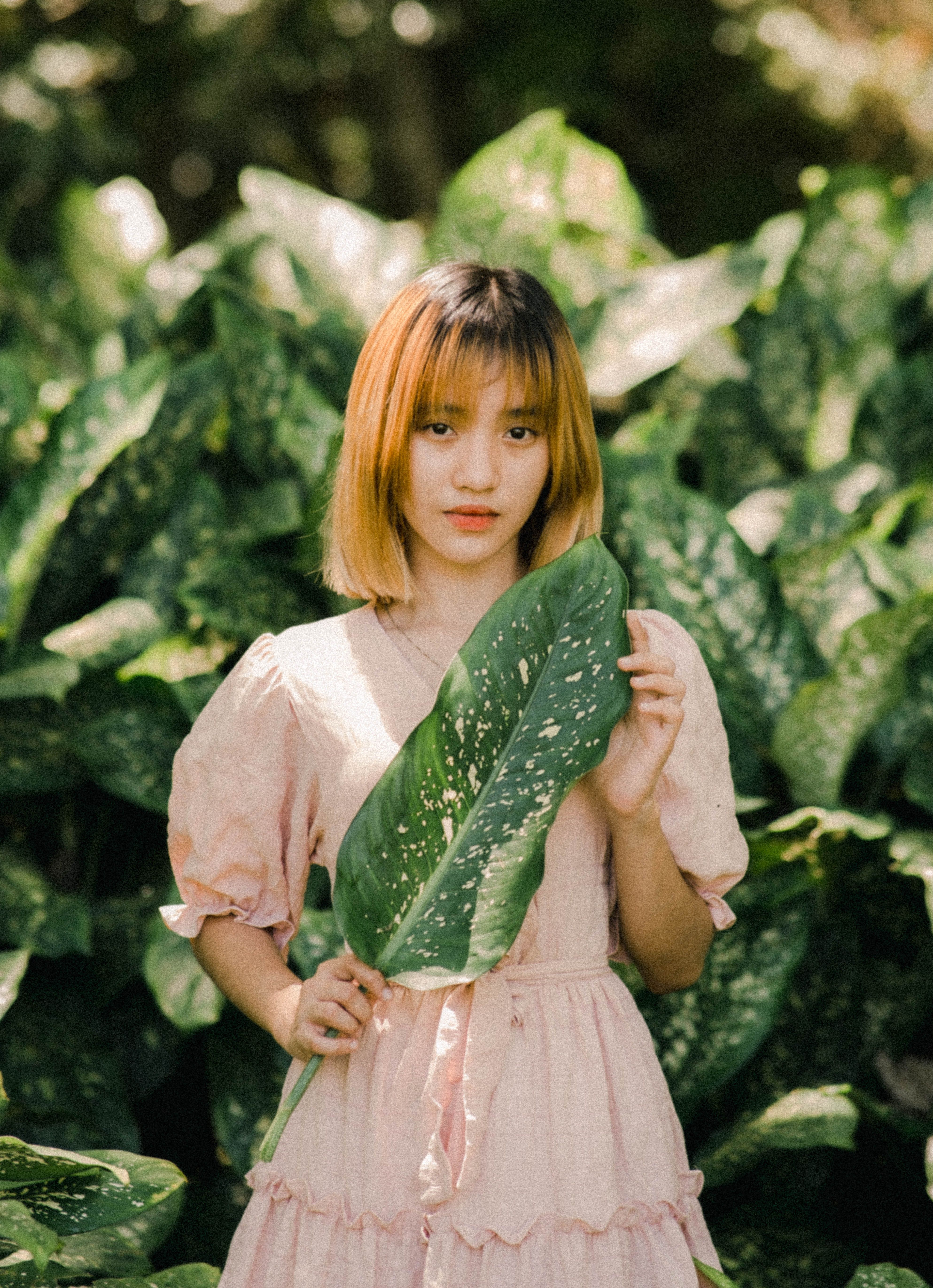 Portrait of Woman with Leaf · Free Stock Photo