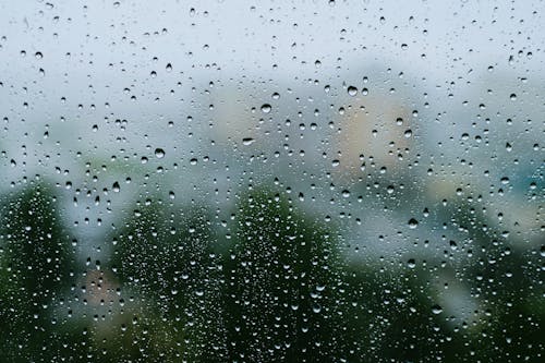 Gratis lagerfoto af dråbe, regn, regndråbe