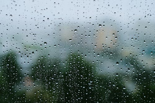 Fotos de stock gratuitas de agua, gota de lluvia, húmedo