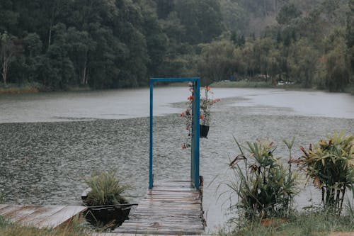 Foto profissional grátis de árvores, beira do lago, cais