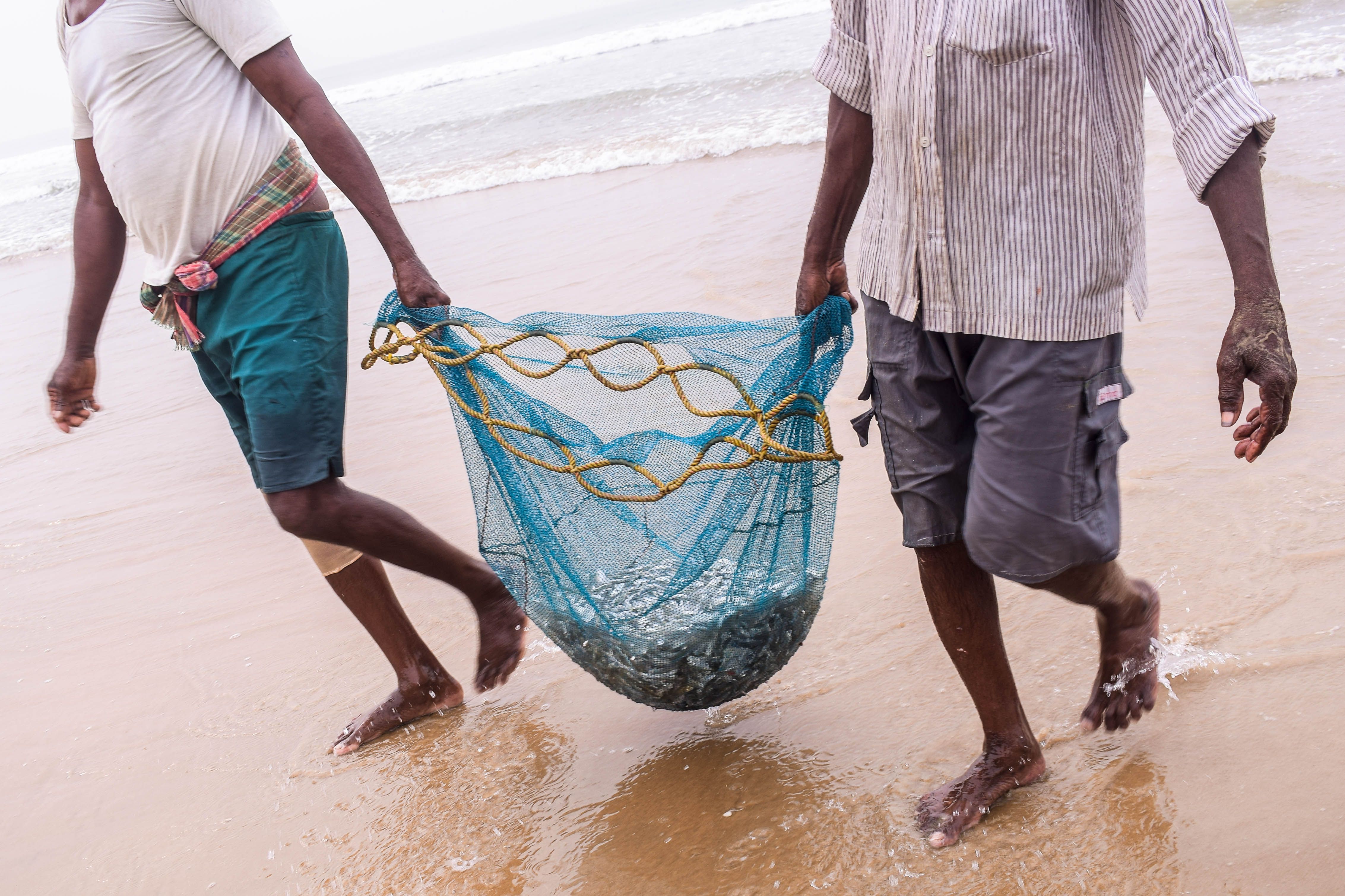 Men Carrying Fish in Net · Free Stock Photo