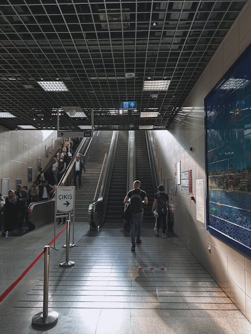 Kostenloses Stock Foto zu gehen, menschen, rolltreppen