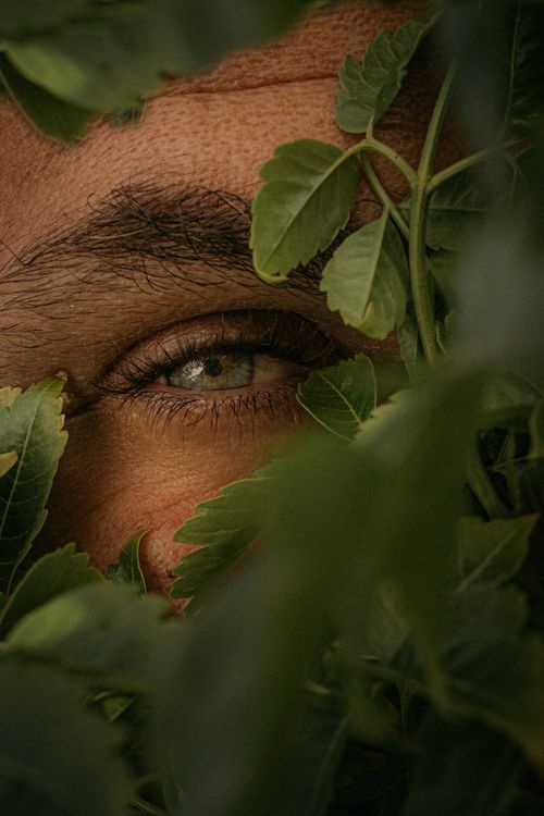 Free Intimate portrait of an eye surrounded by lush green leaves, capturing a sense of mystery. Stock Photo
