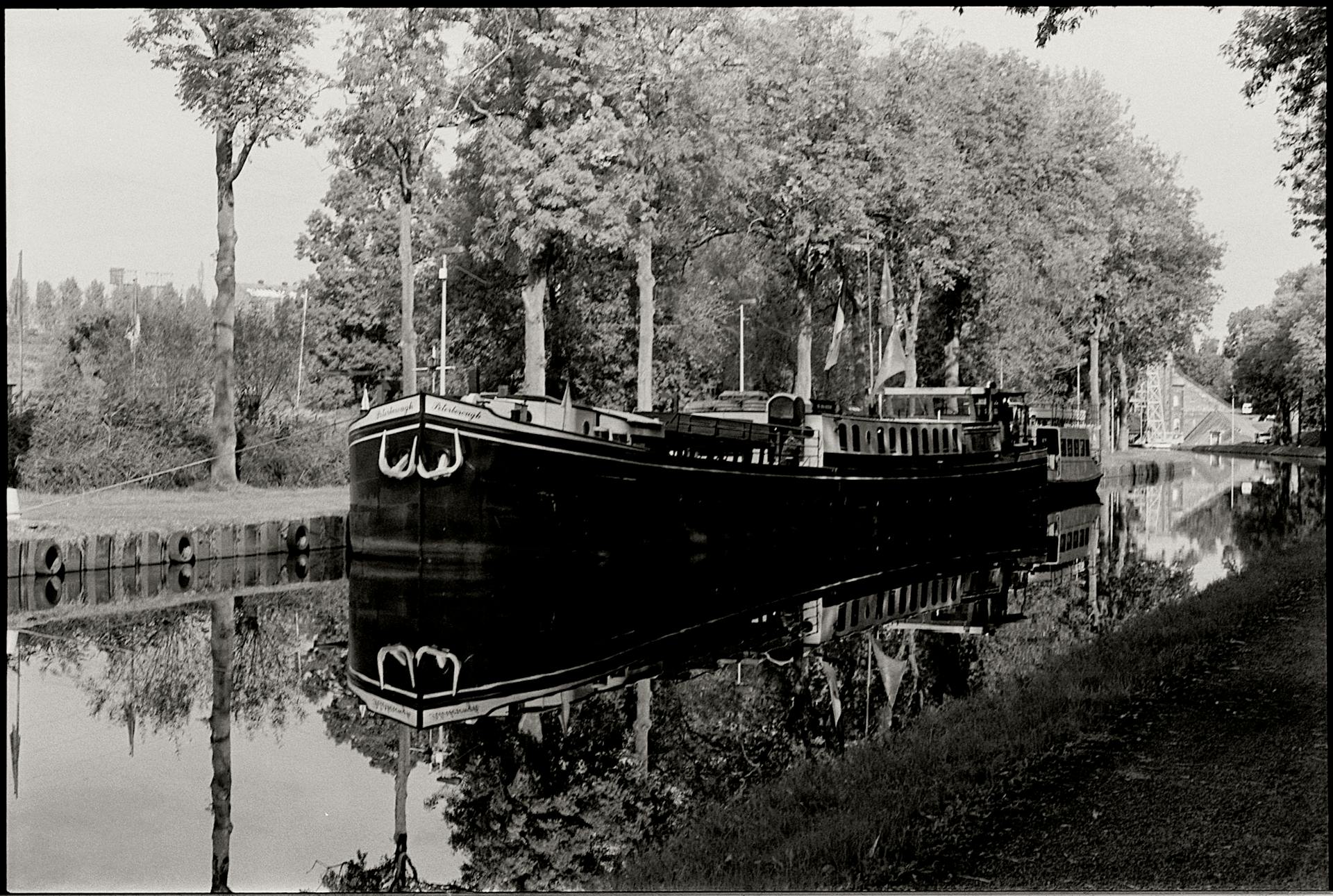 Classic steamboat reflected on a tranquil river with lush trees.