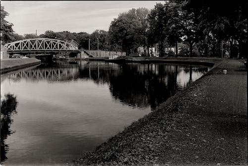 Bridge on Canal in Park