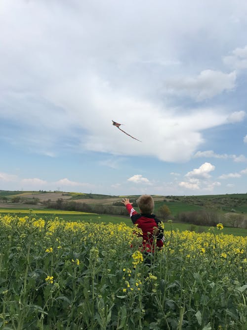 Boy with Kite in Countryside
