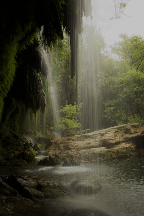 Waterfall in Forest