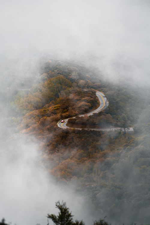 Free A winding road through misty mountains surrounded by autumn foliage, captured in an ethereal setting. Stock Photo