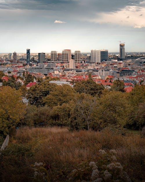 Free Skyscrapers in City Stock Photo