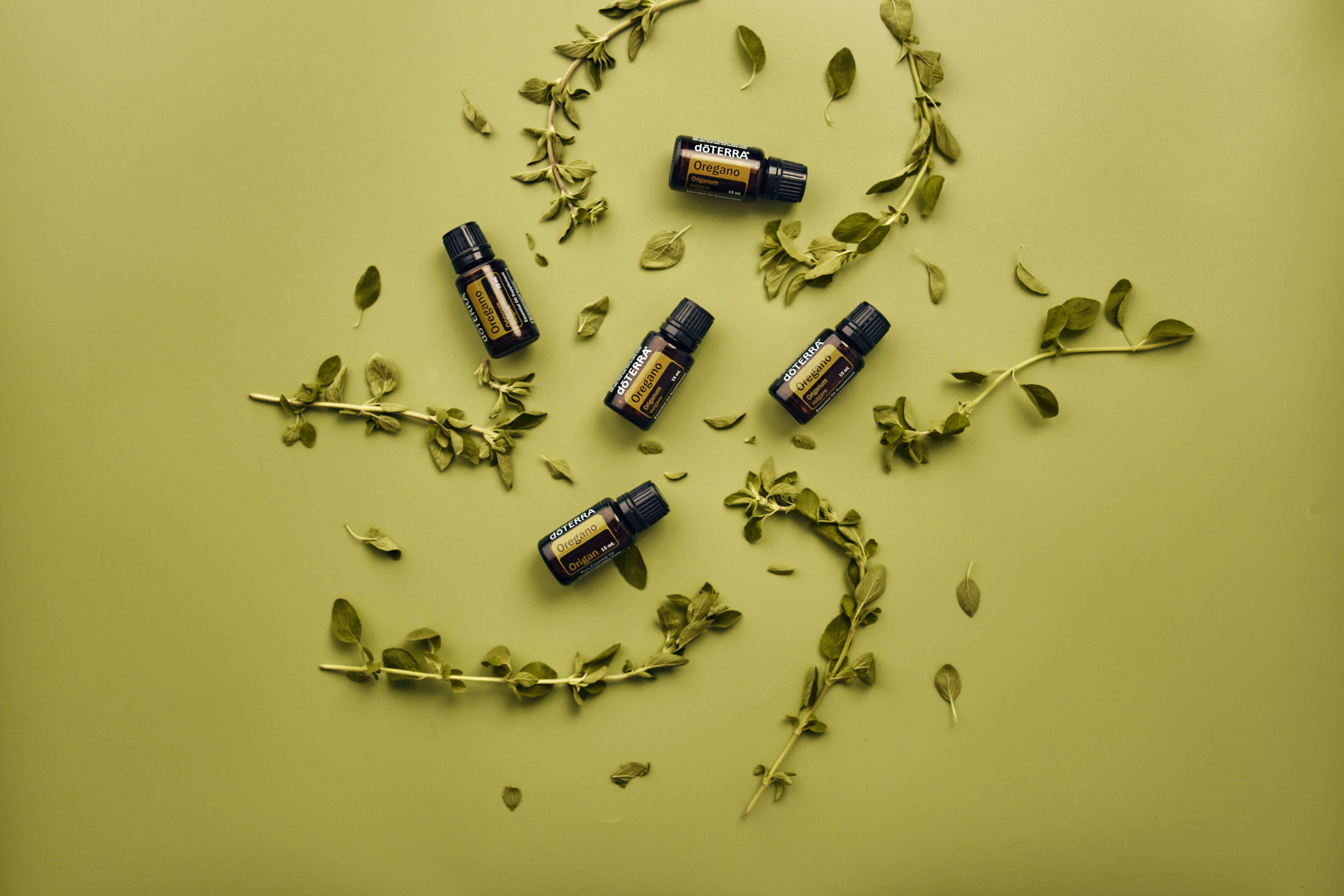 FUELED Wellness + Nutrition | Three easy school lunch upgrades — Photo by doTERRA International, LLC on Pexels