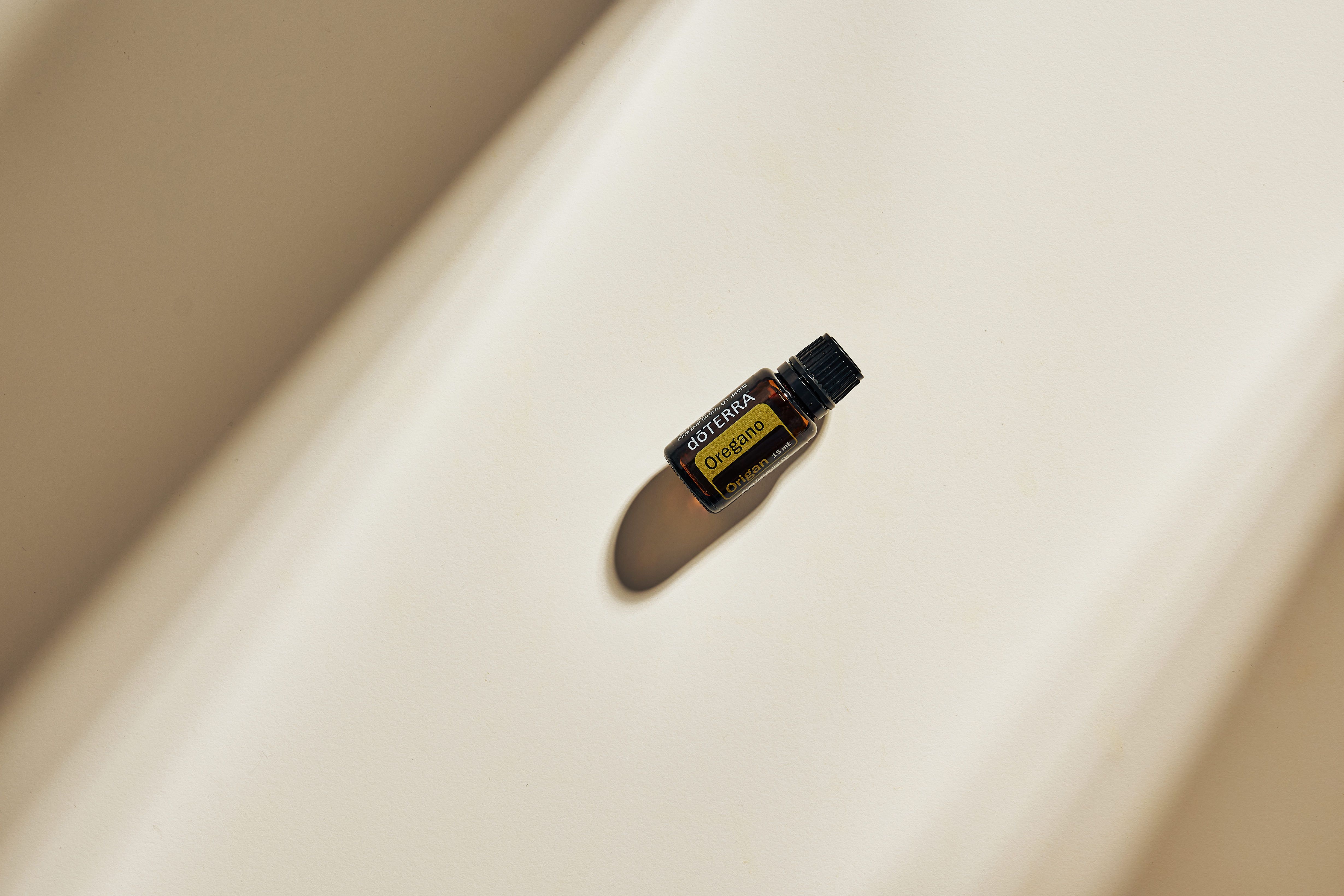 Cajuput Oil: Exploring Its Uses, Benefits, and Precautions for Indian Readers