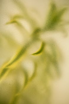 Artistic abstract image capturing green foliage with a soft, blurred, and textured effect.
